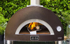 Alfa ONE Wood Fired Pizza Oven – view 12