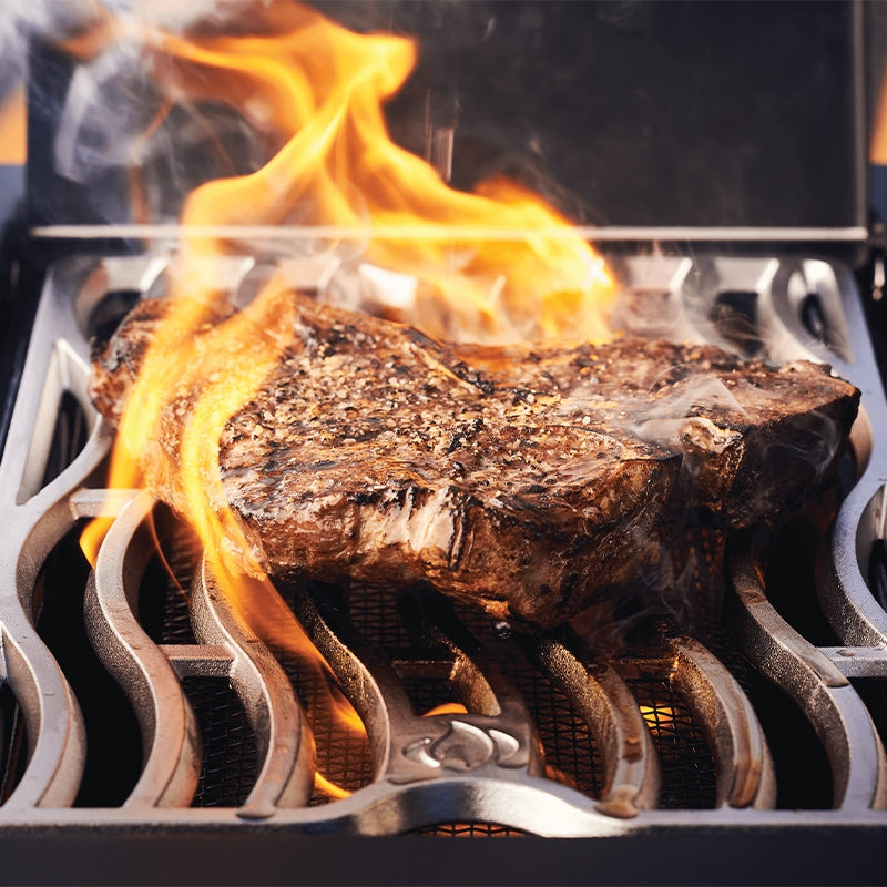 Napoleon Phantom Prestige 500 RSIB Gas Grill – view 12