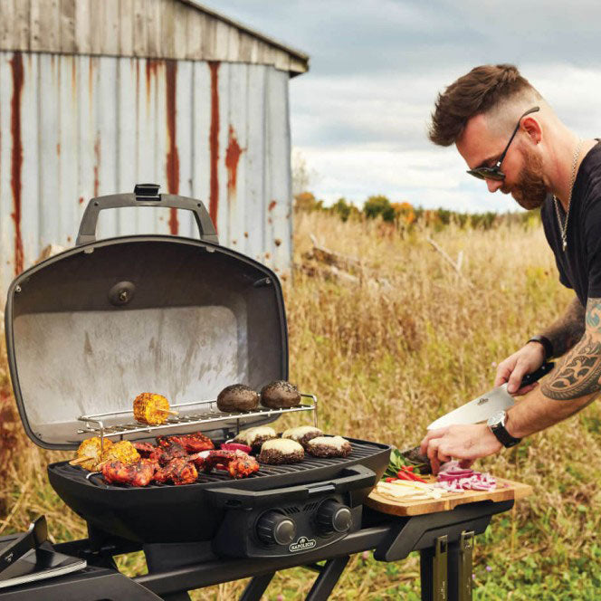 Napoleon Phantom TravelQ PRO 285 Portable Propane Gas Grill – view 5
