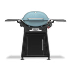 Weber Q 2800N+ Propane Gas Grill with Cart